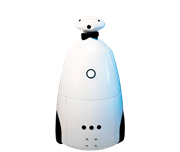 R.Bot 100 Promo 3970