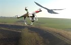 7 ярких падений дронов (видео)