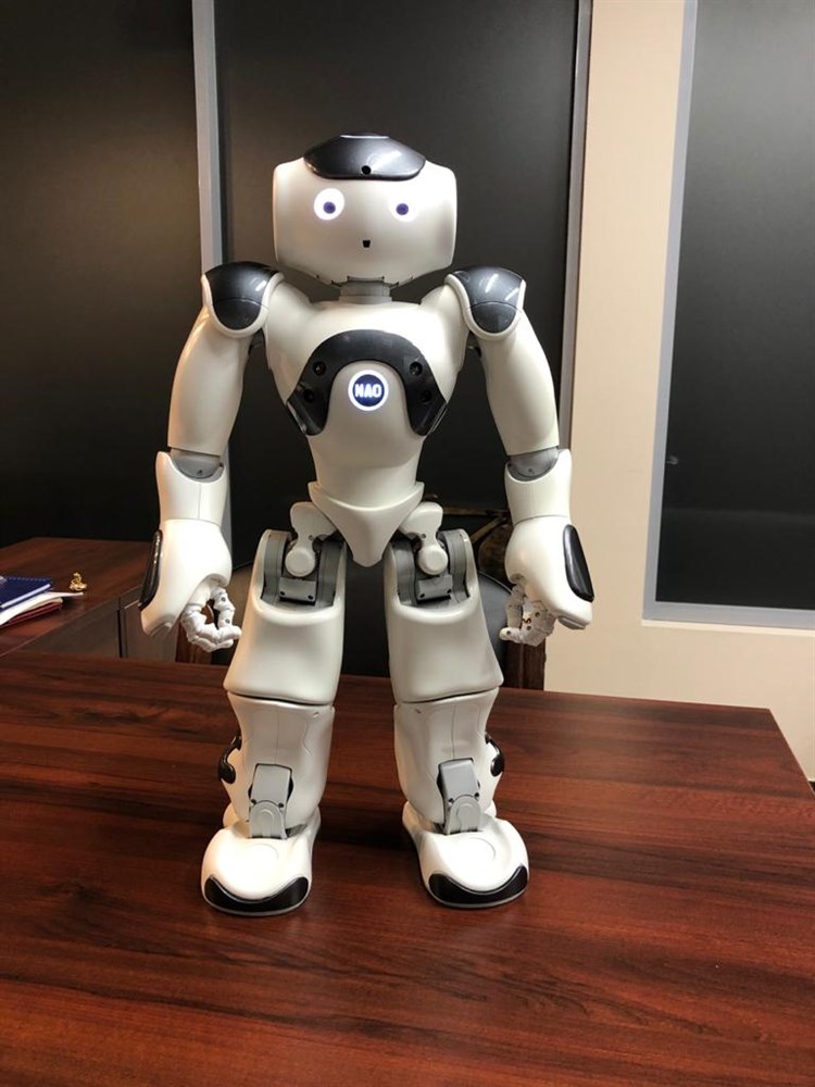 Nao sales 6 robot